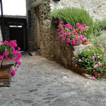 فيلا La Costa Di Gavedo المظهر الخارجي الصورة